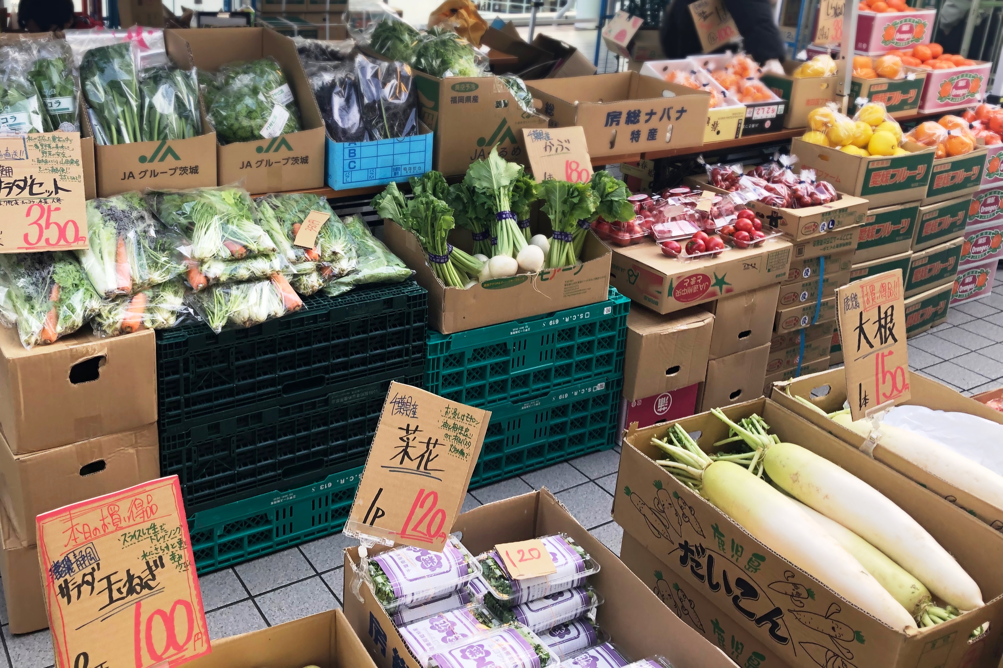 新鮮な野菜や果物が並ぶ